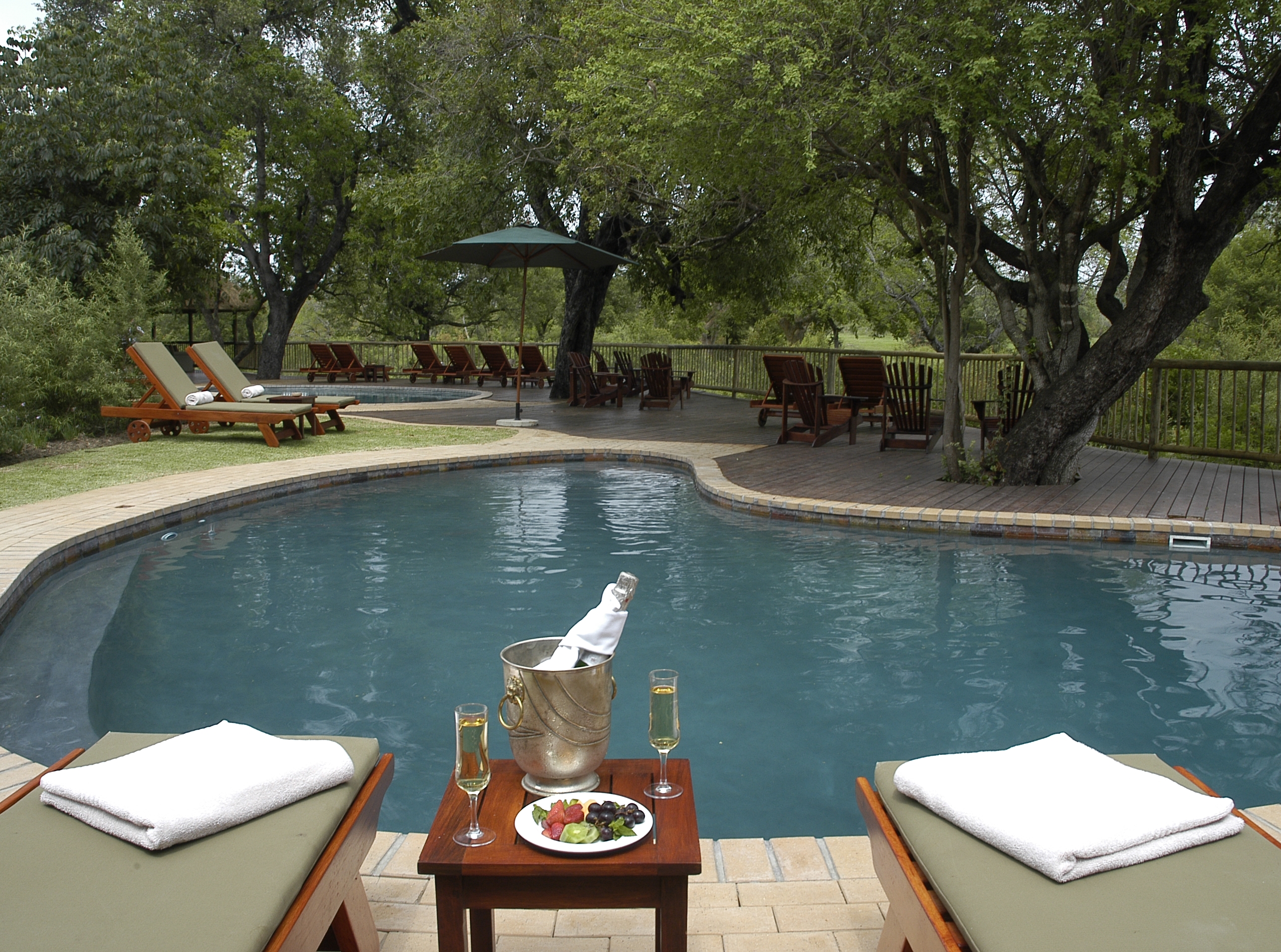 <p>The swimming pool at Sabi Sabi Bush Lodge is surrounded by a spacious deck area that is furnished with comfortable sun loungers and umbrellas. The pool itself is large and inviting, with crystal clear water that is kept clean and sparkling. The pool area is set amidst lush gardens, and there are plenty of shady spots to relax in if you need a break from the sun. You may also spot some of the local wildlife, such as birds and monkeys, as they pass through the gardens.</p>